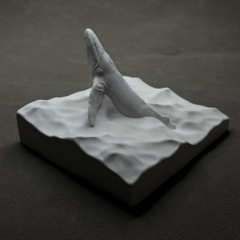 تمثال حوت الظهر المحدب من الجب - مراجعة Resin Art Ocean وسعره